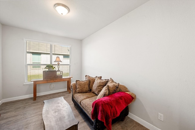 sitting room featuring lofted ceiling and wood-type flooring