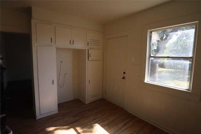 unfurnished bedroom with multiple windows, dark hardwood / wood-style floors, and a closet