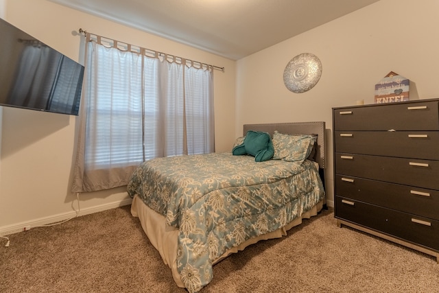 bedroom with carpet