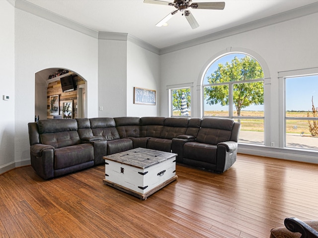 living room featuring hardwood / wood-style floors, ceiling fan, and crown molding