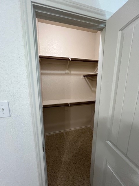 walk in closet with carpet flooring