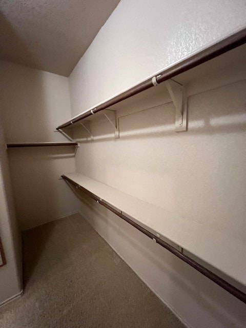 spacious closet featuring carpet