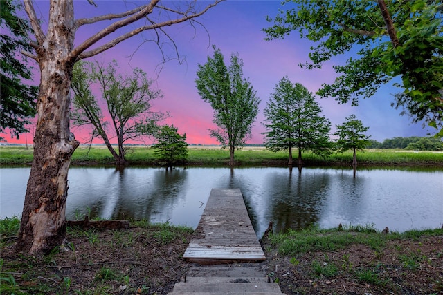 dock area featuring a water view