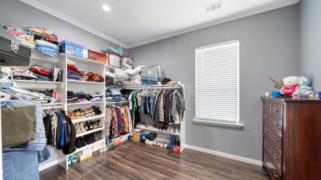 walk in closet with dark hardwood / wood-style flooring