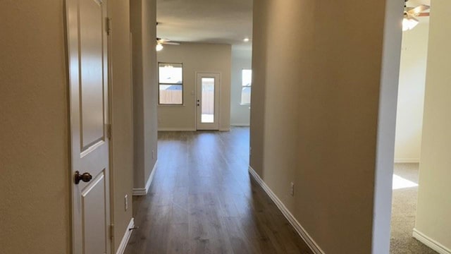 hall featuring dark hardwood / wood-style floors