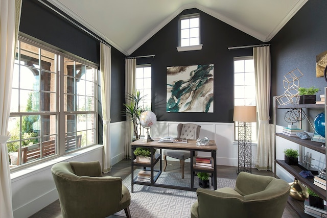 office featuring ornamental molding, vaulted ceiling, and a wealth of natural light