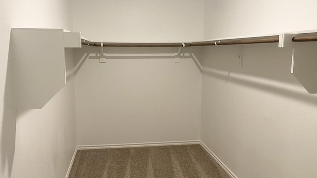 spacious closet featuring dark colored carpet