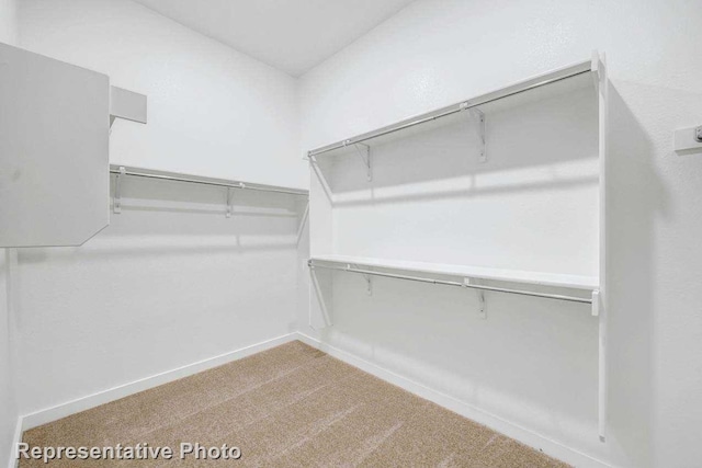 spacious closet featuring carpet floors