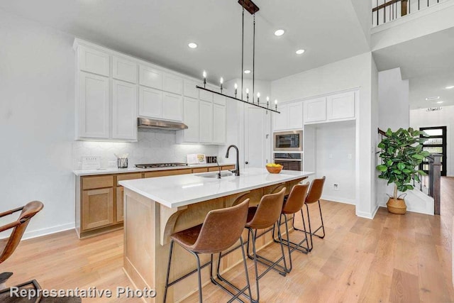 kitchen featuring white cabinetry, sink, and an island with sink