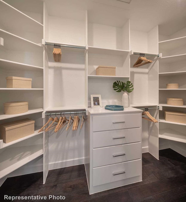 walk in closet featuring dark hardwood / wood-style floors