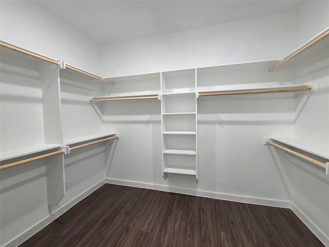 spacious closet featuring dark hardwood / wood-style floors