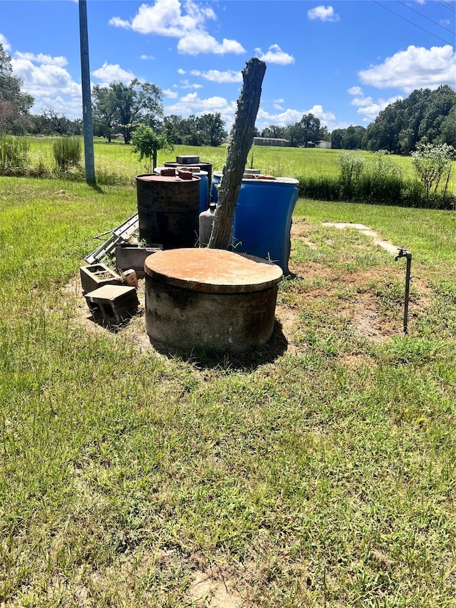 view of yard with a rural view