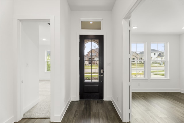 foyer entrance with dark hardwood / wood-style floors and plenty of natural light