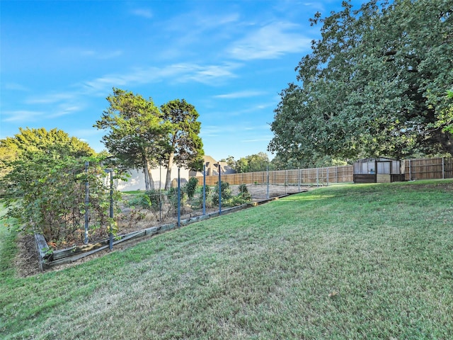 view of yard with a storage shed