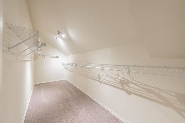 spacious closet with vaulted ceiling and carpet floors