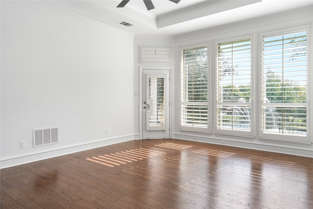 unfurnished room featuring a raised ceiling, a wealth of natural light, and dark wood-type flooring