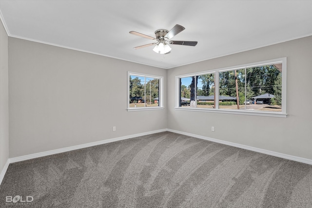 unfurnished room featuring crown molding, carpet floors, and ceiling fan