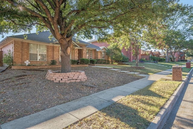 view of front of property featuring a front lawn