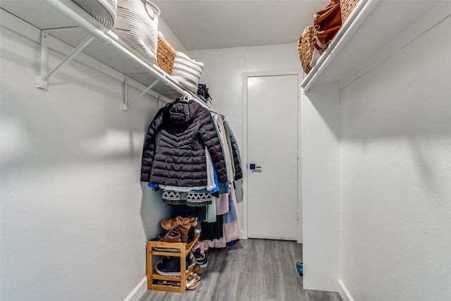 walk in closet with hardwood / wood-style floors