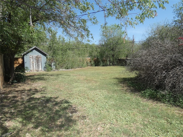 view of yard featuring a storage shed