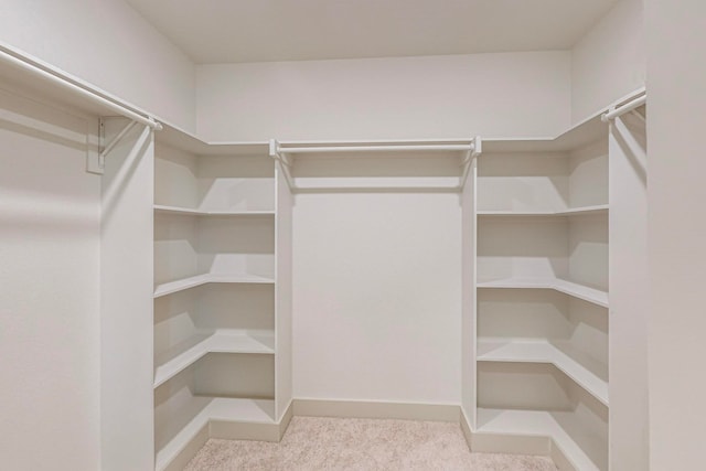 spacious closet featuring light colored carpet