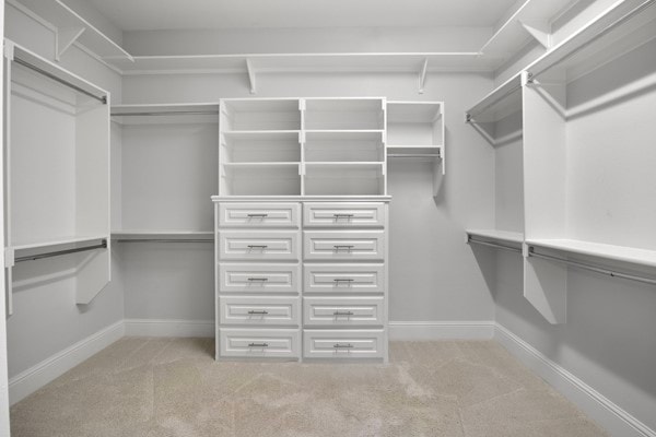 spacious closet with light carpet