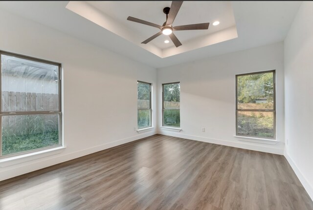 spare room featuring a tray ceiling, a wealth of natural light, and hardwood / wood-style floors