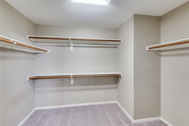 walk in closet featuring light colored carpet