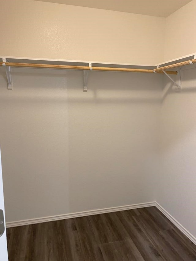 spacious closet featuring dark hardwood / wood-style floors