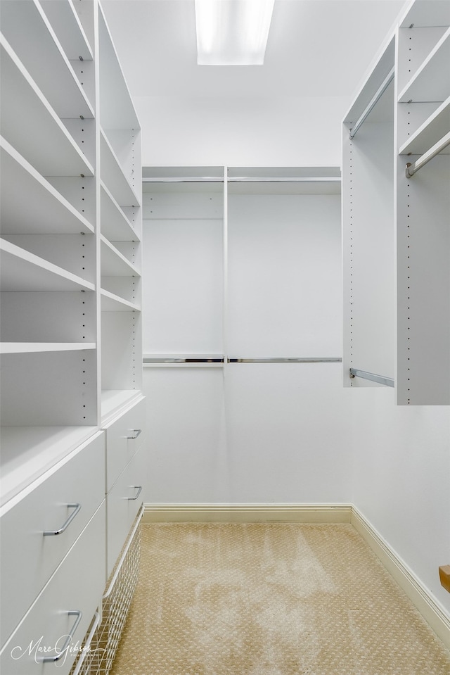 walk in closet with carpet flooring