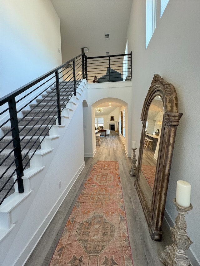 foyer with a high ceiling and hardwood / wood-style flooring