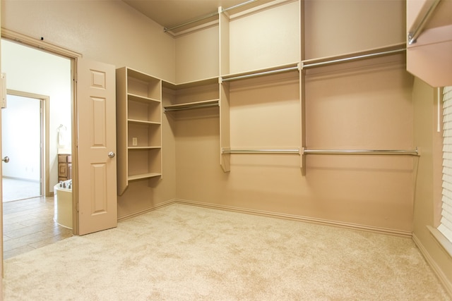 walk in closet featuring light carpet