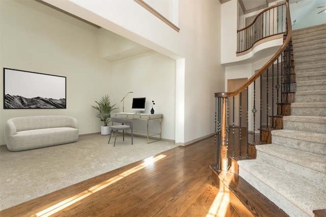 foyer entrance with a high ceiling and hardwood / wood-style floors