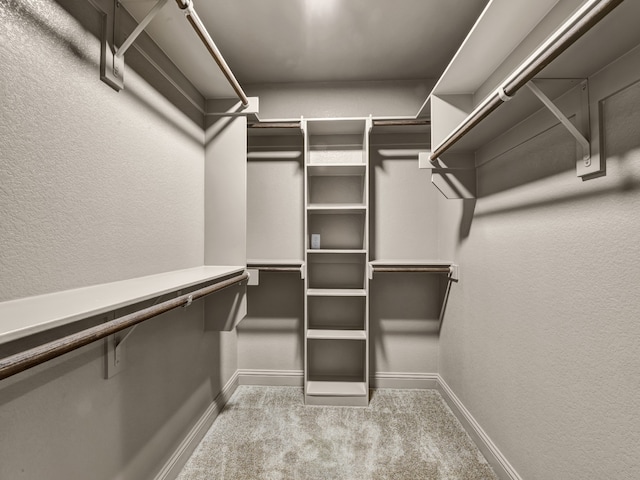 walk in closet featuring light carpet