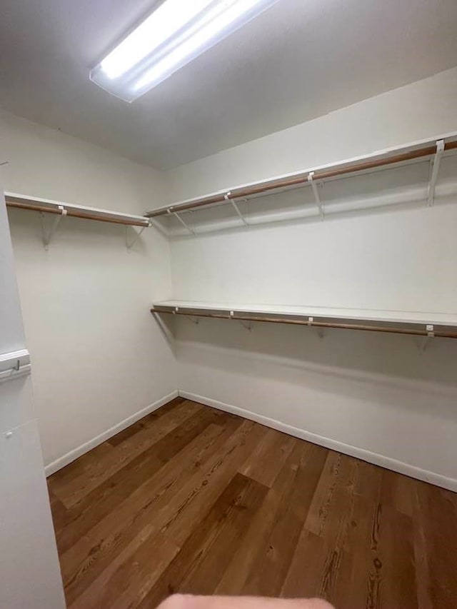 walk in closet featuring hardwood / wood-style floors