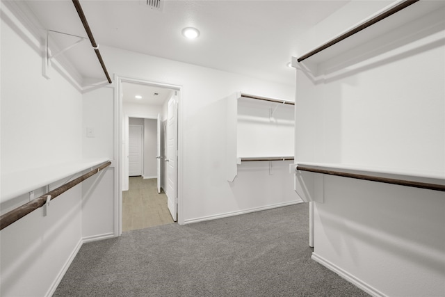 walk in closet featuring carpet floors