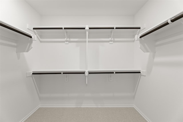 walk in closet featuring carpet flooring