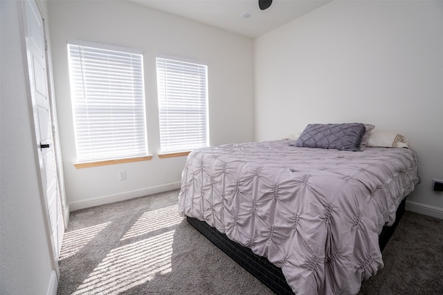 bedroom with carpet floors