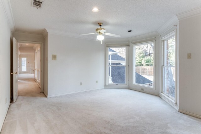 carpeted empty room with crown molding, sink, and a textured ceiling