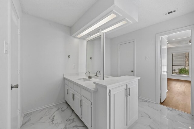 bathroom featuring vanity and hardwood / wood-style floors