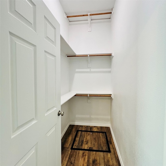 spacious closet featuring hardwood / wood-style flooring