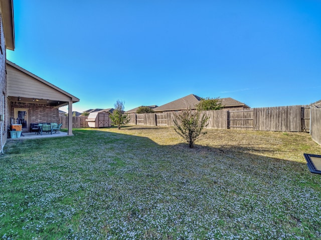 view of yard featuring a shed and a patio