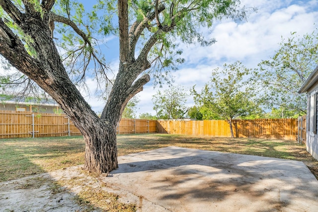 view of yard featuring a patio area