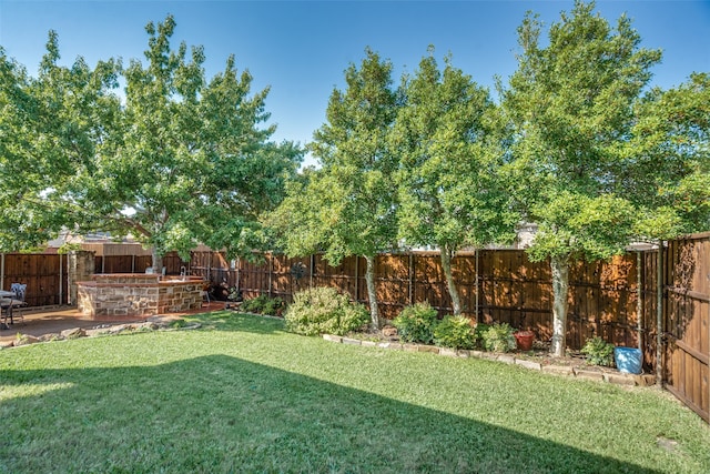 view of yard with a patio area and a fire pit