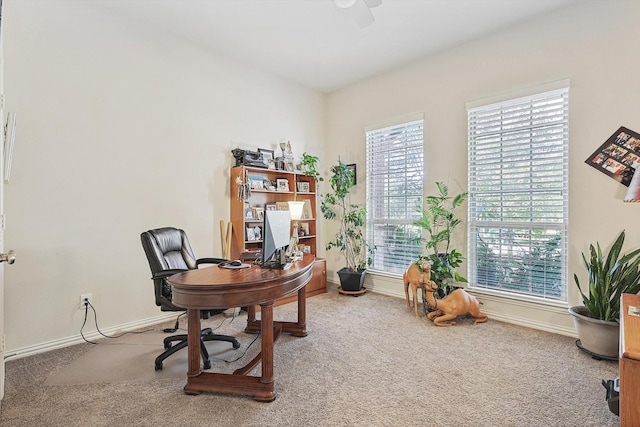 office with carpet floors