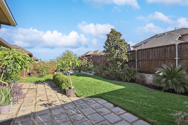 view of yard featuring a patio