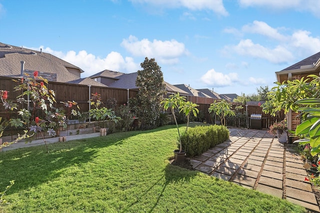 view of yard featuring a patio