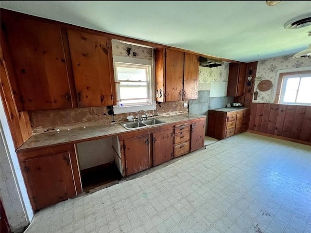 kitchen featuring wood walls, sink, and a wealth of natural light