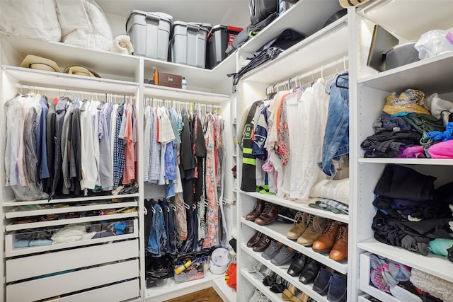 view of walk in closet