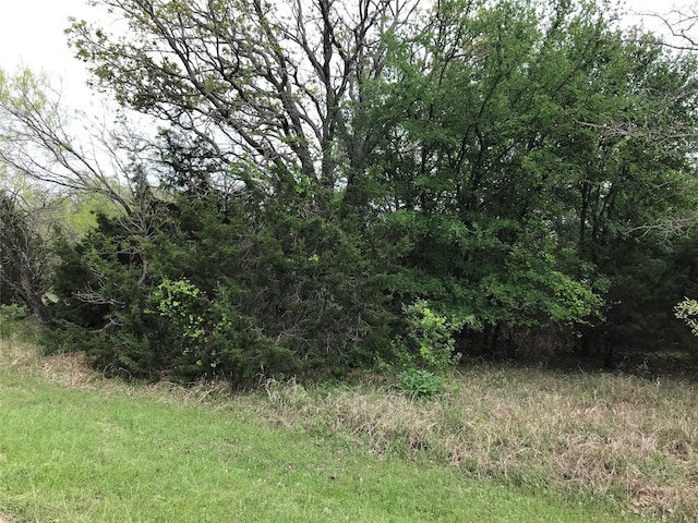 31037 Doe Run Ct, Whitney TX, 76692 land for sale